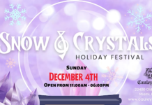 Snow & Crystals Holiday Festival 2022 at Cauley Square by Healing Arts Expo